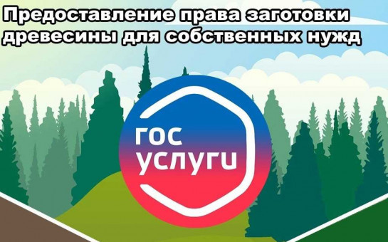 О порядке заключения гражданами договора купли-продажи древесины для собственных нужд